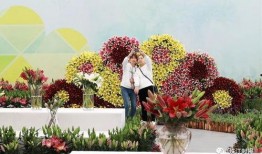 花卉爆料视频大全,视频大全中的美丽瞬间