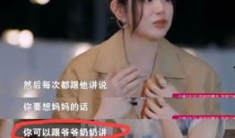 张小寒最新爆料白鹿视频,独家爆料引热议